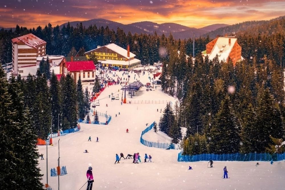 Ilgaz Kayak Merkezi Rehberi 2026: Milli Park ve Yurduntepe Pistleri
